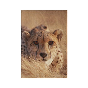 Обложка для паспорта матовая кожа с принтом Гепард в Петрозаводске, натуральная матовая кожа | размер 19,3 х 13,7 см; прозрачные пластиковые крепления | амурский | гепард | животные | зверь | киса | кот | котенок | кошка | лев | леопард | пума | рысь | серый | тигр | тигренок | хищник