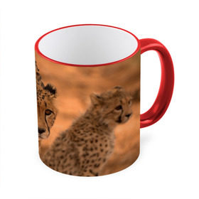 Кружка 3D с принтом Гепард в Петрозаводске, керамика | ёмкость 330 мл | амурский | гепард | животные | зверь | киса | кот | котенок | кошка | лев | леопард | пума | рысь | серый | тигр | тигренок | хищник