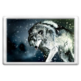 Магнит 45*70 с принтом Волк в Петрозаводске, Пластик | Размер: 78*52 мм; Размер печати: 70*45 | animal | art | night | painting | predator | snow | view | winter | wolf | взгляд | волк | животное | зима | искусство | картина | ночь | снег | хищник