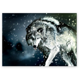 Поздравительная открытка с принтом Волк в Петрозаводске, 100% бумага | плотность бумаги 280 г/м2, матовая, на обратной стороне линовка и место для марки
 | animal | art | night | painting | predator | snow | view | winter | wolf | взгляд | волк | животное | зима | искусство | картина | ночь | снег | хищник