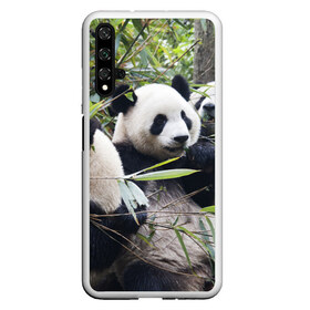 Чехол для Honor 20 с принтом Семейка панд в Петрозаводске, Силикон | Область печати: задняя сторона чехла, без боковых панелей | бамбук | животное | зверь | косолапый | лес | медведи | медведь | миша | мишка | мишутка | млекопитающее | панда | природа | трое