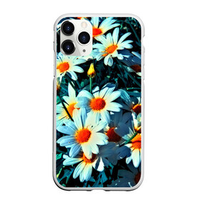 Чехол для iPhone 11 Pro матовый с принтом Полевые ромашки в Петрозаводске, Силикон |  | flower | лето | полевой цветок | цветочки | цветы
