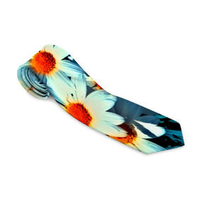Галстук 3D с принтом Полевые ромашки в Петрозаводске, 100% полиэстер | Длина 148 см; Плотность 150-180 г/м2 | flower | лето | полевой цветок | цветочки | цветы