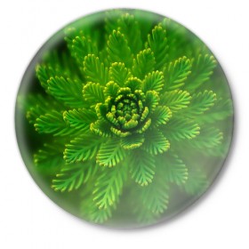 Значок с принтом Красивое растение в Петрозаводске,  металл | круглая форма, металлическая застежка в виде булавки | Тематика изображения на принте: 