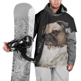 Накидка на куртку 3D с принтом Мопс в Петрозаводске, 100% полиэстер |  | бульдог | мопс | мопсик | мопсы | пес | песик | песики | собака | собаки | собачка