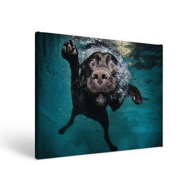 Холст прямоугольный с принтом Пес дайвер в Петрозаводске, 100% ПВХ |  | вода | гребет | дайвер | животное | купается | лапы | нос | пес | плавец | плывет | под водой | прикольный | пузыри | смешной | собака | щенок