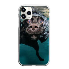 Чехол для iPhone 11 Pro Max матовый с принтом Пес дайвер в Петрозаводске, Силикон |  | вода | гребет | дайвер | животное | купается | лапы | нос | пес | плавец | плывет | под водой | прикольный | пузыри | смешной | собака | щенок