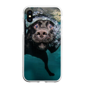 Чехол для iPhone XS Max матовый с принтом Пес дайвер в Петрозаводске, Силикон | Область печати: задняя сторона чехла, без боковых панелей | вода | гребет | дайвер | животное | купается | лапы | нос | пес | плавец | плывет | под водой | прикольный | пузыри | смешной | собака | щенок