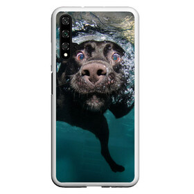 Чехол для Honor 20 с принтом Пес дайвер в Петрозаводске, Силикон | Область печати: задняя сторона чехла, без боковых панелей | вода | гребет | дайвер | животное | купается | лапы | нос | пес | плавец | плывет | под водой | прикольный | пузыри | смешной | собака | щенок