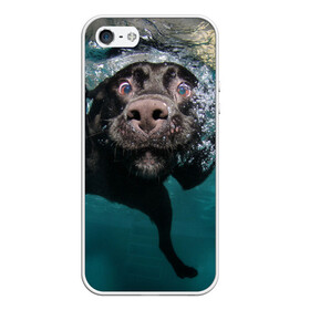 Чехол для iPhone 5/5S матовый с принтом Пес дайвер в Петрозаводске, Силикон | Область печати: задняя сторона чехла, без боковых панелей | вода | гребет | дайвер | животное | купается | лапы | нос | пес | плавец | плывет | под водой | прикольный | пузыри | смешной | собака | щенок