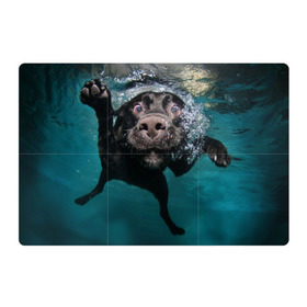 Магнитный плакат 3Х2 с принтом Пес дайвер в Петрозаводске, Полимерный материал с магнитным слоем | 6 деталей размером 9*9 см | вода | гребет | дайвер | животное | купается | лапы | нос | пес | плавец | плывет | под водой | прикольный | пузыри | смешной | собака | щенок