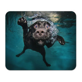 Коврик прямоугольный с принтом Пес дайвер в Петрозаводске, натуральный каучук | размер 230 х 185 мм; запечатка лицевой стороны | вода | гребет | дайвер | животное | купается | лапы | нос | пес | плавец | плывет | под водой | прикольный | пузыри | смешной | собака | щенок