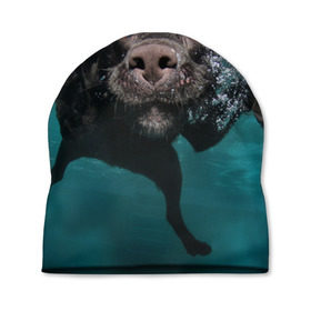 Шапка 3D с принтом Пес дайвер в Петрозаводске, 100% полиэстер | универсальный размер, печать по всей поверхности изделия | вода | гребет | дайвер | животное | купается | лапы | нос | пес | плавец | плывет | под водой | прикольный | пузыри | смешной | собака | щенок
