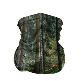 Бандана-труба 3D с принтом Темный лес в Петрозаводске, 100% полиэстер, ткань с особыми свойствами — Activecool | плотность 150‒180 г/м2; хорошо тянется, но сохраняет форму | бор | деревья | ель | ельник | заповедник | камни | красивый | лес | лето | мох | мрачный | прекрасный | природа | флора | чудесный