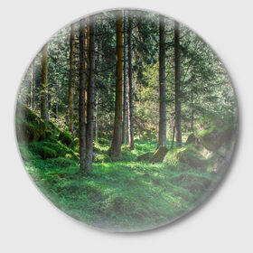 Значок с принтом Темный лес в Петрозаводске,  металл | круглая форма, металлическая застежка в виде булавки | Тематика изображения на принте: бор | деревья | ель | ельник | заповедник | камни | красивый | лес | лето | мох | мрачный | прекрасный | природа | флора | чудесный
