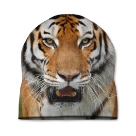 Шапка 3D с принтом Тигр в Петрозаводске, 100% полиэстер | универсальный размер, печать по всей поверхности изделия | дикая кошка | клыки | кошка | пасть | сафари | тигр | хищник