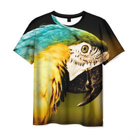 Мужская футболка 3D с принтом Попугай в Петрозаводске, 100% полиэфир | прямой крой, круглый вырез горловины, длина до линии бедер | двое | классный | клюв | красивый | крылья | попугай | попугайчик | птица | птичка | радужный