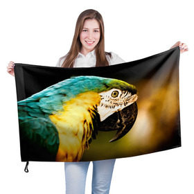 Флаг 3D с принтом Попугай в Петрозаводске, 100% полиэстер | плотность ткани — 95 г/м2, размер — 67 х 109 см. Принт наносится с одной стороны | двое | классный | клюв | красивый | крылья | попугай | попугайчик | птица | птичка | радужный