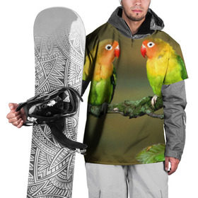 Накидка на куртку 3D с принтом Попугаи в Петрозаводске, 100% полиэстер |  | двое | классный | клюв | красивый | крылья | попугай | попугайчик | птица | птичка | радужный