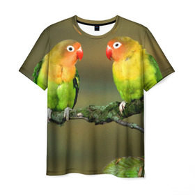 Мужская футболка 3D с принтом Попугаи в Петрозаводске, 100% полиэфир | прямой крой, круглый вырез горловины, длина до линии бедер | двое | классный | клюв | красивый | крылья | попугай | попугайчик | птица | птичка | радужный