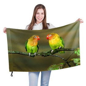 Флаг 3D с принтом Попугаи в Петрозаводске, 100% полиэстер | плотность ткани — 95 г/м2, размер — 67 х 109 см. Принт наносится с одной стороны | двое | классный | клюв | красивый | крылья | попугай | попугайчик | птица | птичка | радужный
