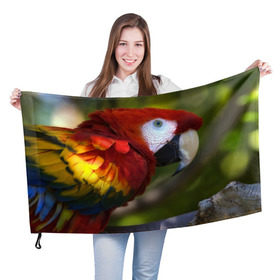 Флаг 3D с принтом Попугайчик в Петрозаводске, 100% полиэстер | плотность ткани — 95 г/м2, размер — 67 х 109 см. Принт наносится с одной стороны | 