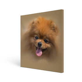 Холст квадратный с принтом Шпиц в Петрозаводске, 100% ПВХ |  | Тематика изображения на принте: shpic | животные | мордочка | пёс | рыжий | собака | собачка | язык