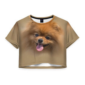Женская футболка 3D укороченная с принтом Шпиц в Петрозаводске, 100% полиэстер | круглая горловина, длина футболки до линии талии, рукава с отворотами | shpic | животные | мордочка | пёс | рыжий | собака | собачка | язык