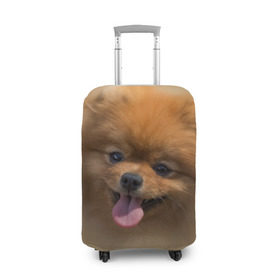 Чехол для чемодана 3D с принтом Шпиц в Петрозаводске, 86% полиэфир, 14% спандекс | двустороннее нанесение принта, прорези для ручек и колес | shpic | животные | мордочка | пёс | рыжий | собака | собачка | язык