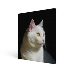 Холст квадратный с принтом Белая и пушистая в Петрозаводске, 100% ПВХ |  | белый | взгляд | глаза | киска | кот | котёнок | кошка | пушистый