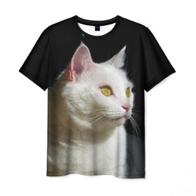Мужская футболка 3D с принтом Белая и пушистая в Петрозаводске, 100% полиэфир | прямой крой, круглый вырез горловины, длина до линии бедер | белый | взгляд | глаза | киска | кот | котёнок | кошка | пушистый