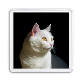 Магнит 55*55 с принтом Белая и пушистая в Петрозаводске, Пластик | Размер: 65*65 мм; Размер печати: 55*55 мм | белый | взгляд | глаза | киска | кот | котёнок | кошка | пушистый