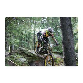 Магнитный плакат 3Х2 с принтом Велоспорт гонка в Петрозаводске, Полимерный материал с магнитным слоем | 6 деталей размером 9*9 см | велик | велосипед | гонка | горы | деревья | железный конь | колесо | лес | лисапед | природа | ровер | спорт | спортсмен | стальной конь | тандем | трицикл | шлем