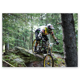 Поздравительная открытка с принтом Велоспорт гонка в Петрозаводске, 100% бумага | плотность бумаги 280 г/м2, матовая, на обратной стороне линовка и место для марки
 | велик | велосипед | гонка | горы | деревья | железный конь | колесо | лес | лисапед | природа | ровер | спорт | спортсмен | стальной конь | тандем | трицикл | шлем