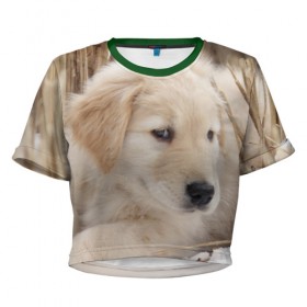 Женская футболка 3D укороченная с принтом Щеночек в Петрозаводске, 100% полиэстер | круглая горловина, длина футболки до линии талии, рукава с отворотами | dog | puppy | собака | щенок | щеночек