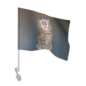Флаг для автомобиля с принтом Мартовский кот в Петрозаводске, 100% полиэстер | Размер: 30*21 см | кот | кошка | март | пасть | усы
