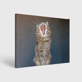 Холст прямоугольный с принтом Мартовский кот в Петрозаводске, 100% ПВХ |  | кот | кошка | март | пасть | усы
