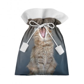Подарочный 3D мешок с принтом Мартовский кот в Петрозаводске, 100% полиэстер | Размер: 29*39 см | кот | кошка | март | пасть | усы