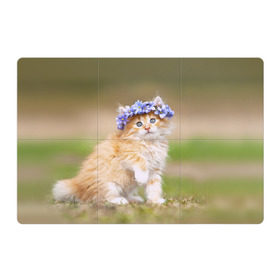 Магнитный плакат 3Х2 с принтом Веночек в Петрозаводске, Полимерный материал с магнитным слоем | 6 деталей размером 9*9 см | василёк | венок | котёнок | кошка | цветок