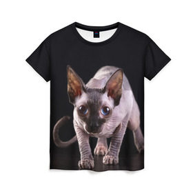 Женская футболка 3D с принтом сфинкс в Петрозаводске, 100% полиэфир ( синтетическое хлопкоподобное полотно) | прямой крой, круглый вырез горловины, длина до линии бедер | Тематика изображения на принте: cat | голубые глаза | кот | котик | котэ | кошка | сфинкс | черный