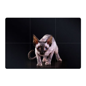 Магнитный плакат 3Х2 с принтом сфинкс в Петрозаводске, Полимерный материал с магнитным слоем | 6 деталей размером 9*9 см | cat | голубые глаза | кот | котик | котэ | кошка | сфинкс | черный