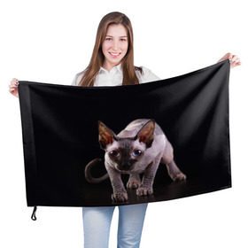 Флаг 3D с принтом сфинкс в Петрозаводске, 100% полиэстер | плотность ткани — 95 г/м2, размер — 67 х 109 см. Принт наносится с одной стороны | cat | голубые глаза | кот | котик | котэ | кошка | сфинкс | черный
