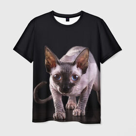 Мужская футболка 3D с принтом сфинкс в Петрозаводске, 100% полиэфир | прямой крой, круглый вырез горловины, длина до линии бедер | Тематика изображения на принте: cat | голубые глаза | кот | котик | котэ | кошка | сфинкс | черный
