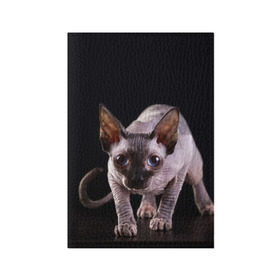 Обложка для паспорта матовая кожа с принтом сфинкс в Петрозаводске, натуральная матовая кожа | размер 19,3 х 13,7 см; прозрачные пластиковые крепления | Тематика изображения на принте: cat | голубые глаза | кот | котик | котэ | кошка | сфинкс | черный