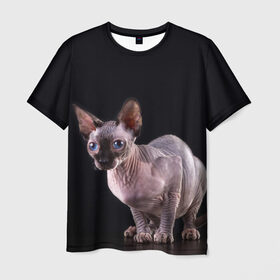Мужская футболка 3D с принтом сфинкс в Петрозаводске, 100% полиэфир | прямой крой, круглый вырез горловины, длина до линии бедер | взгляд | голубые глаза | киска | кот | котенок | котик | котэ | серый | сфинкс | черный
