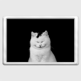 Магнит 45*70 с принтом Smile в Петрозаводске, Пластик | Размер: 78*52 мм; Размер печати: 70*45 | cat | kitty | животные | киса | кот | котенок | котэ | кошка