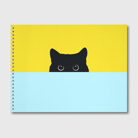 Альбом для рисования с принтом Кот спрятался в Петрозаводске, 100% бумага
 | матовая бумага, плотность 200 мг. | 3d | cat | kitty | животные | иллюстрация | киса | кот | кот спрятался | котенок | котэ | кошка | минимализм | рисунок | цифровое искусство