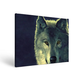 Холст прямоугольный с принтом Серый волк в Петрозаводске, 100% ПВХ |  | аука | бирюк | волк | волчара | волчица | волчок | глаза | животное | животные | зверь | зеленые | койот | млекопитающее | нос | санитар леса | серый | уши | фауна | фон | хищник | черный | шакал | шерсть