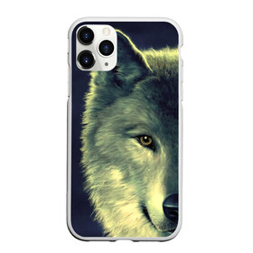 Чехол для iPhone 11 Pro матовый с принтом Серый волк в Петрозаводске, Силикон |  | аука | бирюк | волк | волчара | волчица | волчок | глаза | животное | животные | зверь | зеленые | койот | млекопитающее | нос | санитар леса | серый | уши | фауна | фон | хищник | черный | шакал | шерсть