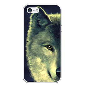 Чехол для iPhone 5/5S матовый с принтом Серый волк в Петрозаводске, Силикон | Область печати: задняя сторона чехла, без боковых панелей | аука | бирюк | волк | волчара | волчица | волчок | глаза | животное | животные | зверь | зеленые | койот | млекопитающее | нос | санитар леса | серый | уши | фауна | фон | хищник | черный | шакал | шерсть